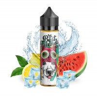 Best Friends Flavor Shots 60ml – Roxy